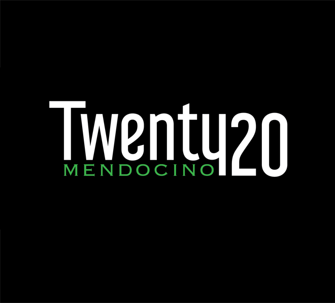 Twenty20_Logo.png