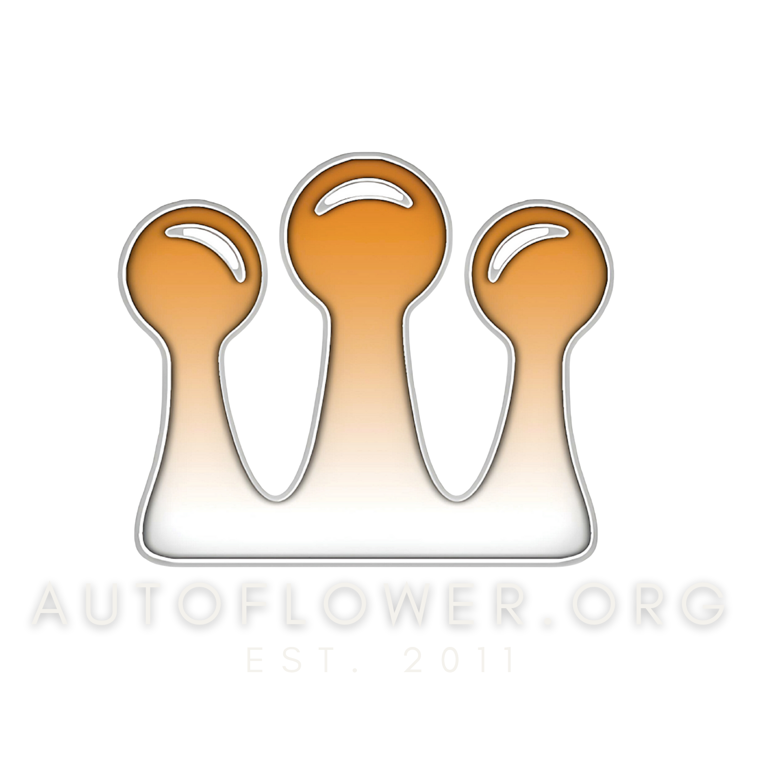 The Autoflower Network