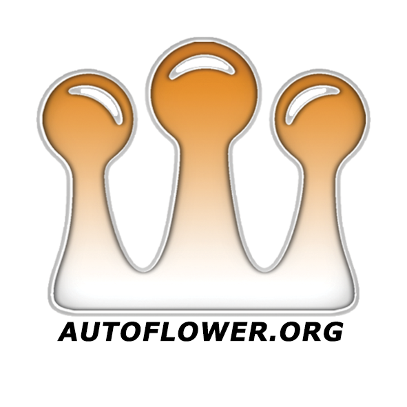 The Autoflower Network