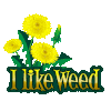 :LikeWeed: