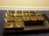 IMG_20110211_094846.jpg