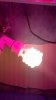 2011-02-28_12-50-47_865.jpg