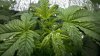2011-03-05_23-17-14_906.jpg 2011-03-05_23-17-14_906.jpg