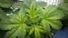 2011-03-05_23-18-01_532.jpg 2011-03-05_23-18-01_532.jpg
