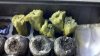 2011-03-15_23-29-02_48.jpg 2011-03-15_23-29-02_48.jpg