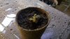 2011-03-17_21-09-24_826.jpg 2011-03-17_21-09-24_826.jpg