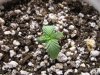 Plant #2-2.jpg