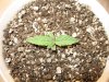 Plant #3-3.jpg