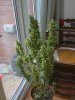 CAM_0315.JPG