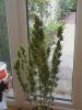 CAM_0322.JPG
