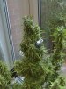 CAM_0330.JPG