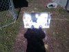 IMG_20111006_114353.jpg