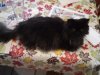 DSC00624.jpg