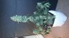 20130529_191913.jpg