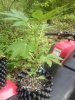130530_0002.jpg