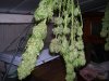 100_1714.jpg