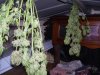 100_1718.jpg