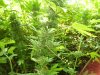 100_1769.jpg