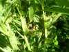 100_1776.jpg