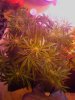 IMG_20130531_183635.jpg