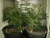 20130601_223434.jpg