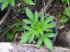 100_1836.jpg