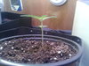 20200605_141331.jpg