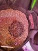20200608_123042.jpg