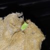 20200611_205801.jpg