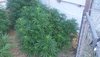 20200619_070536.jpg