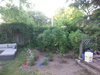 20200619_202527.jpg
