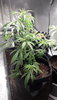 20200622_184540_002.jpg