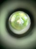 335E3BFA-E7E2-4061-8F96-B30F870C1B61.jpeg