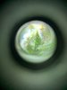 88E4913F-B1EB-46E4-BE8D-9D2E2B2977E7.jpeg