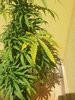 20200628_154609.jpg