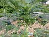 270520131048.jpg