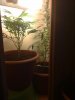 220520131017.jpg