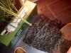 170520131000.jpg