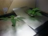 20130603_233622.jpg