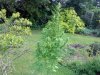 DSC00359.jpg