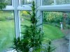 DSC00365.jpg