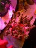IMG_20130604_160808.jpg