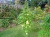 DSC00379.jpg