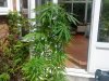 DSC00389.jpg