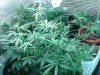 20130604_231931.jpg