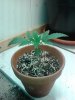 20130606_221703.jpg