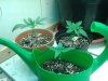 20130606_221817.jpg