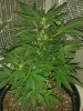 20130606_223014.jpg