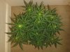 20130606_224057.jpg