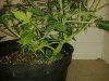 20130606_224235.jpg